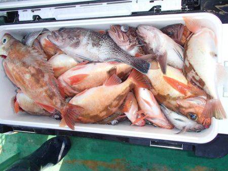 第二むつ漁丸 釣果