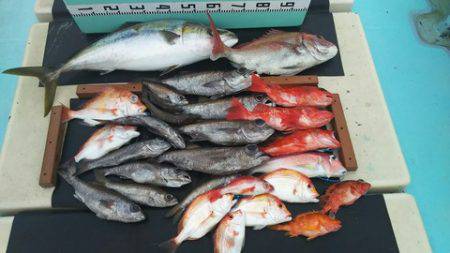 武勝丸（ぶしょうまる） 釣果