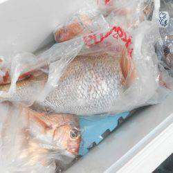 こうゆう丸 釣果