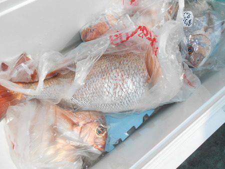 こうゆう丸 釣果