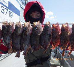 石川丸 釣果