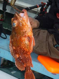 松福丸 釣果