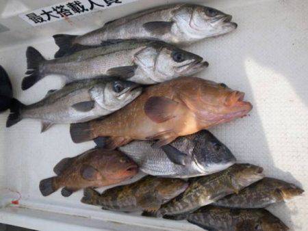 Magic（マジック） 釣果