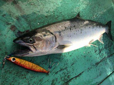 広進丸 釣果