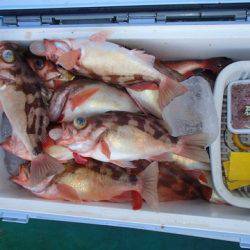 第二むつ漁丸 釣果