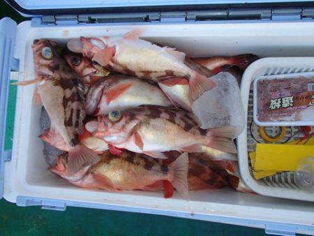 第二むつ漁丸 釣果