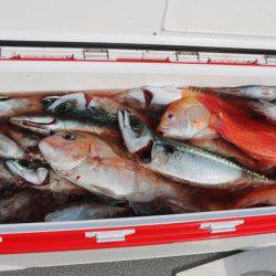 へいみつ丸 釣果