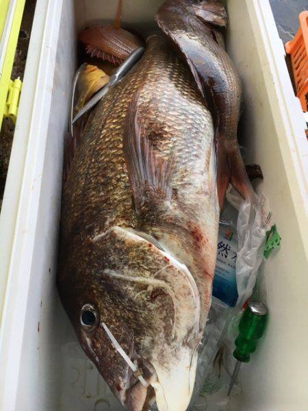 勇勝丸 釣果