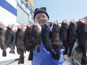 石川丸 釣果