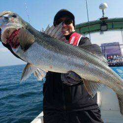 Magic（マジック） 釣果