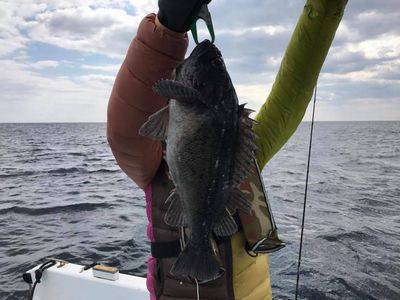 フィッシングガイド４５ 釣果