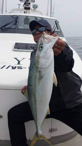Ｙ’ｓ 釣果