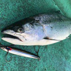 広進丸 釣果
