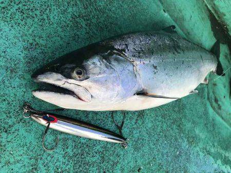 広進丸 釣果