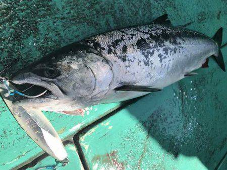 広進丸 釣果