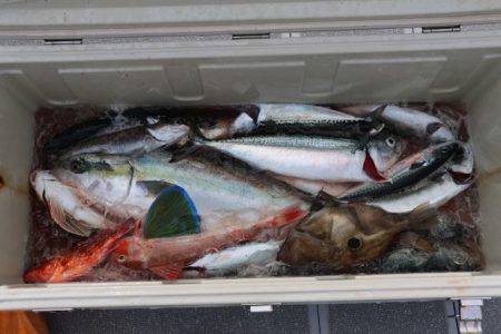 へいみつ丸 釣果