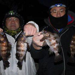 TOPGUN名古屋 釣果