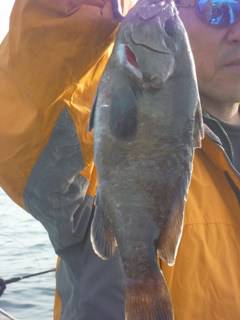 松福丸 釣果