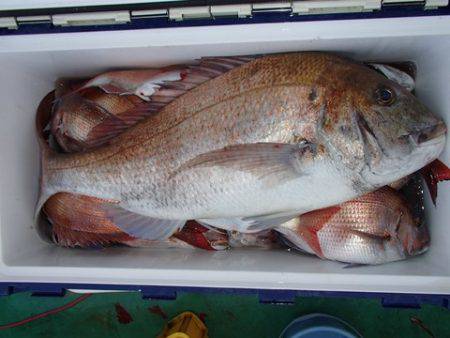 第二むつ漁丸 釣果