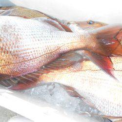 こうゆう丸 釣果