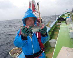 久里浜黒川本家 釣果