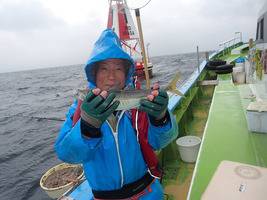 久里浜黒川本家 釣果