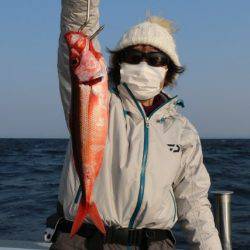 へいみつ丸 釣果