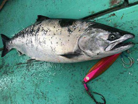 広進丸 釣果