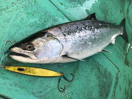 広進丸 釣果
