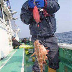 第二むつ漁丸 釣果