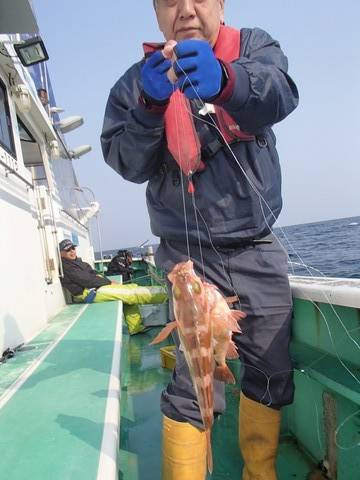 第二むつ漁丸 釣果