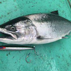 広進丸 釣果