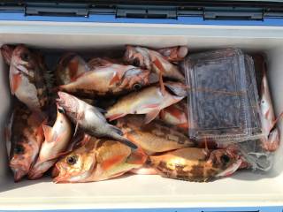 なかくに丸 釣果