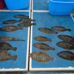 十八宝洋丸 釣果