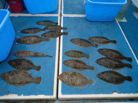 十八宝洋丸 釣果