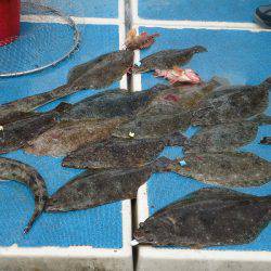 十八宝洋丸 釣果