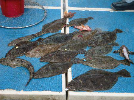 十八宝洋丸 釣果