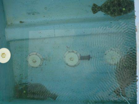 十八宝洋丸 釣果