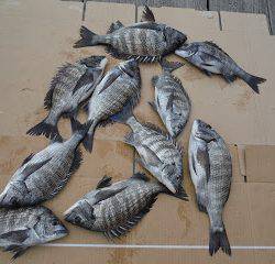 バラモン1号 釣果