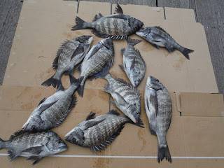 バラモン1号 釣果