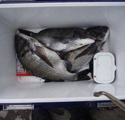 バラモン1号 釣果