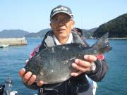 春日丸 釣果