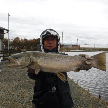 浜名湖フィッシングリゾート 釣果