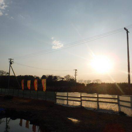 浜名湖フィッシングリゾート 釣果