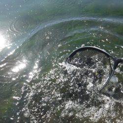 浜名湖フィッシングリゾート 釣果