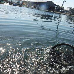 浜名湖フィッシングリゾート 釣果