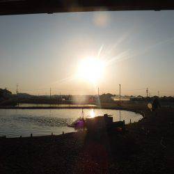 浜名湖フィッシングリゾート 釣果