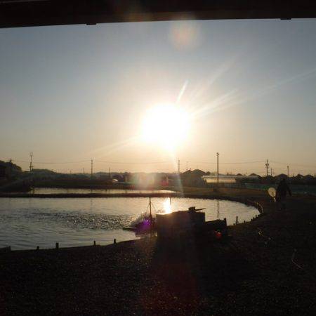 浜名湖フィッシングリゾート 釣果