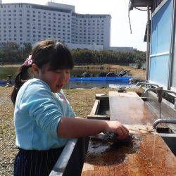 浜名湖フィッシングリゾート 釣果