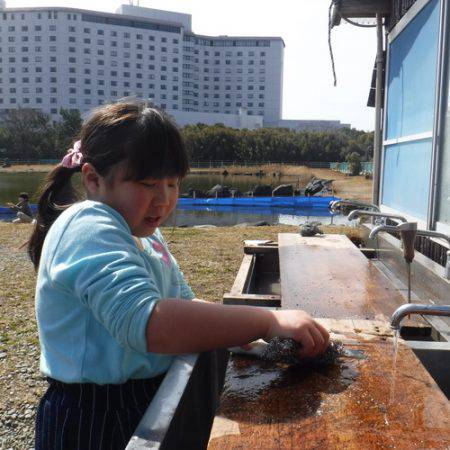 浜名湖フィッシングリゾート 釣果
